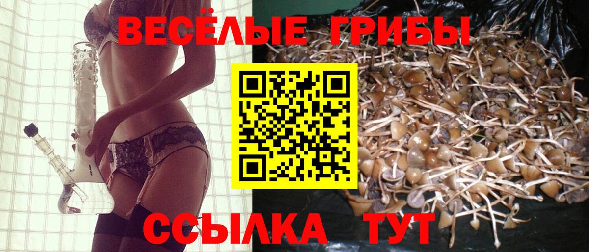 Галлюциногенные грибы Cubensis Арсеньев