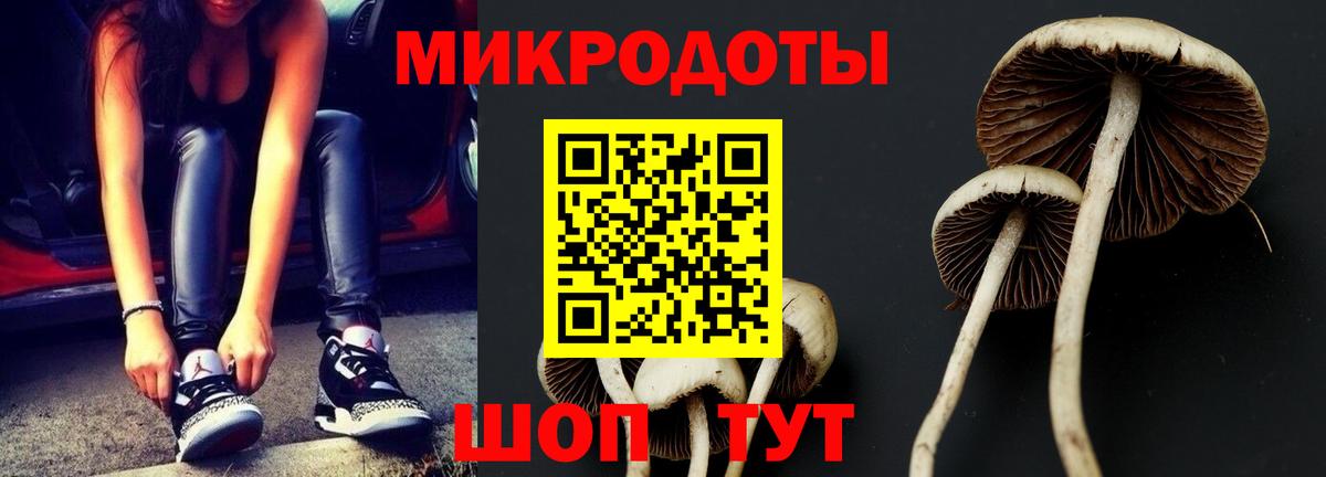 Псилоцибиновые грибы Magic Shrooms  Вход с VPN  как найти   Арсеньев 